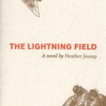 Lightning Fields