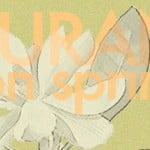 surani