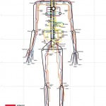 human_subway_map_full_size