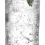 gin-tonic